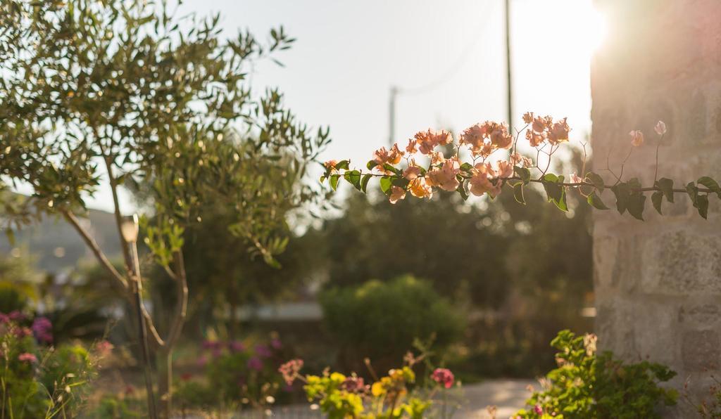 Villa Patmos Netia Σκάλα Εξωτερικό φωτογραφία