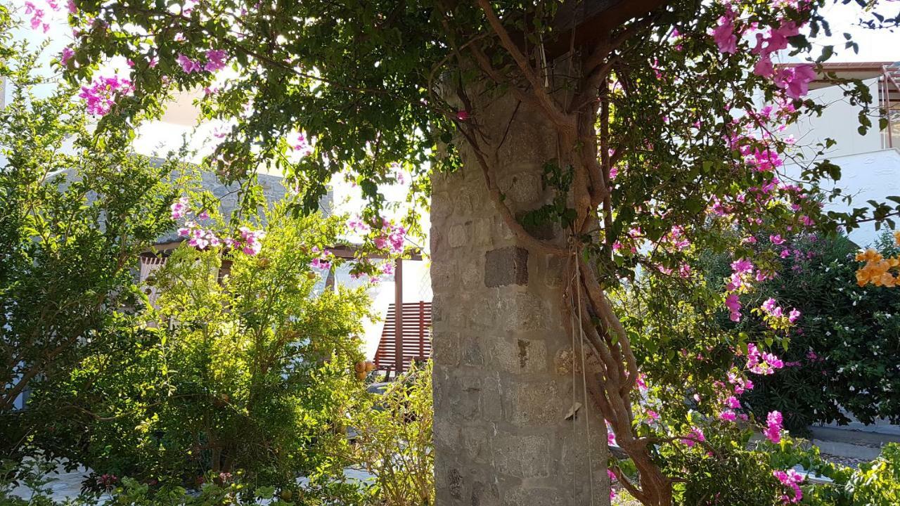 Villa Patmos Netia Σκάλα Εξωτερικό φωτογραφία